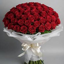 Букет 101 Красная роза Блэк Мэджик #REPLACE_PRED# Придорожном