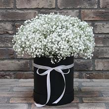 Цветочная композиция из Гипсофила в шляпной коробке в Придорожном