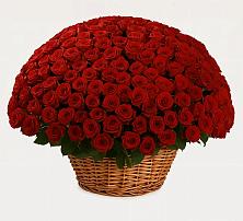 Премиум букет из: Розы в Придорожном